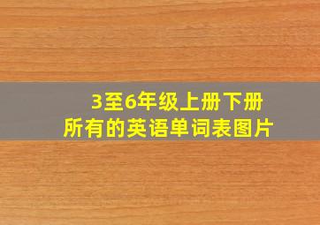 3至6年级上册下册所有的英语单词表图片