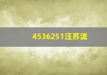 4536251汪苏泷