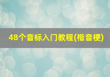 48个音标入门教程(楷音梗)