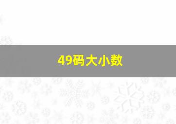 49码大小数