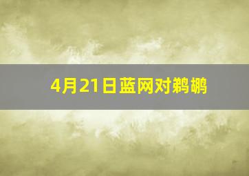 4月21日蓝网对鹈鹕