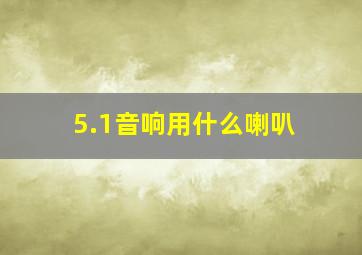 5.1音响用什么喇叭