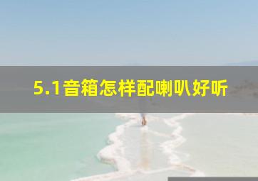 5.1音箱怎样配喇叭好听