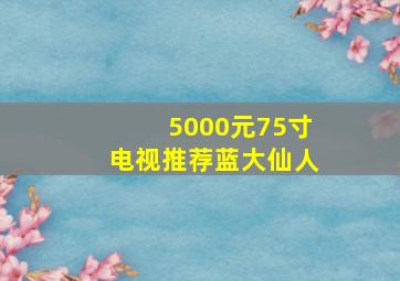 5000元75寸电视推荐蓝大仙人