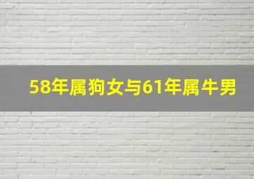 58年属狗女与61年属牛男