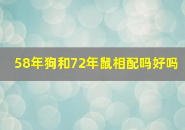 58年狗和72年鼠相配吗好吗