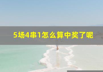 5场4串1怎么算中奖了呢