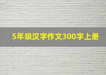 5年级汉字作文300字上册