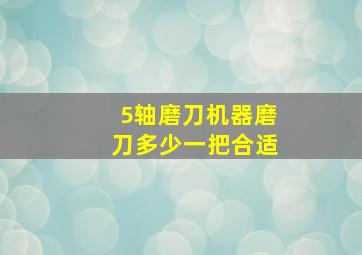 5轴磨刀机器磨刀多少一把合适