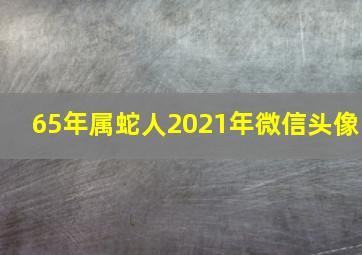 65年属蛇人2021年微信头像