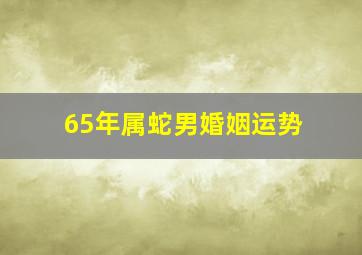 65年属蛇男婚姻运势