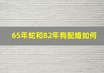 65年蛇和82年狗配婚如何