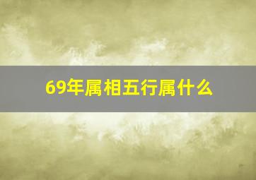 69年属相五行属什么