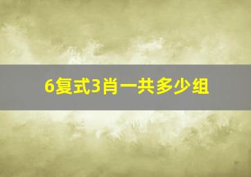 6复式3肖一共多少组