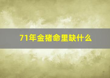 71年金猪命里缺什么