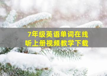 7年级英语单词在线听上册视频教学下载