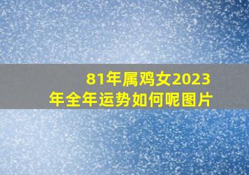 81年属鸡女2023年全年运势如何呢图片