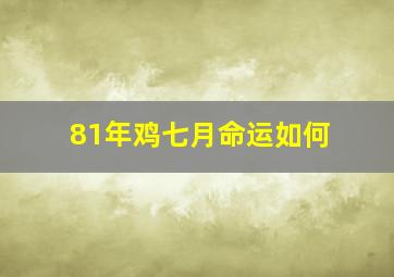 81年鸡七月命运如何