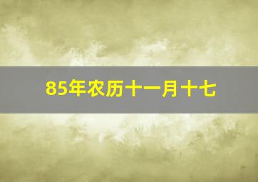 85年农历十一月十七