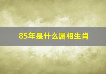 85年是什么属相生肖