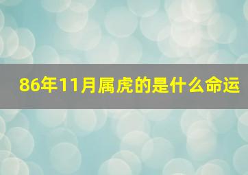 86年11月属虎的是什么命运