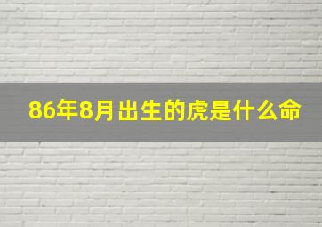 86年8月出生的虎是什么命