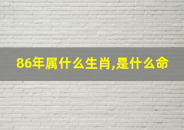 86年属什么生肖,是什么命