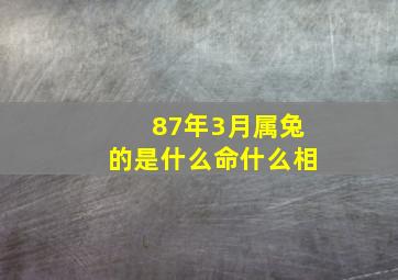 87年3月属兔的是什么命什么相