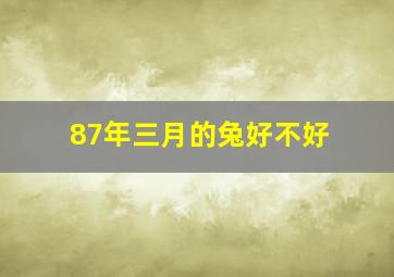 87年三月的兔好不好