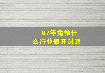 87年兔做什么行业最旺财呢