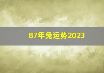 87年兔运势2023