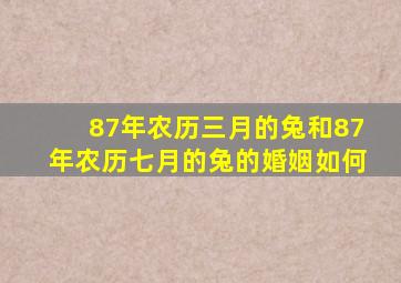 87年农历三月的兔和87年农历七月的兔的婚姻如何