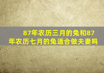 87年农历三月的兔和87年农历七月的兔适合做夫妻吗