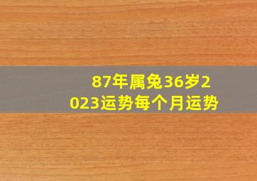 87年属兔36岁2023运势每个月运势