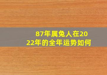 87年属兔人在2022年的全年运势如何