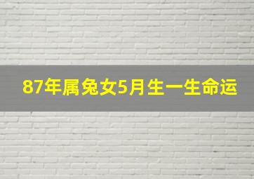 87年属兔女5月生一生命运