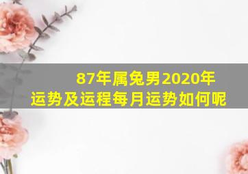 87年属兔男2020年运势及运程每月运势如何呢