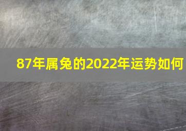 87年属兔的2022年运势如何