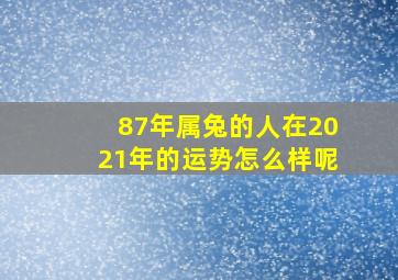 87年属兔的人在2021年的运势怎么样呢