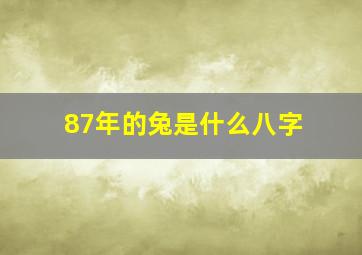 87年的兔是什么八字