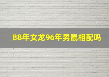 88年女龙96年男鼠相配吗