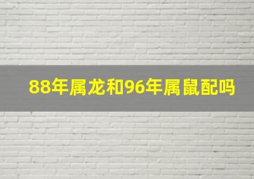 88年属龙和96年属鼠配吗