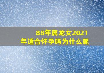 88年属龙女2021年适合怀孕吗为什么呢