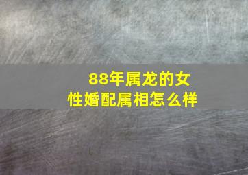 88年属龙的女性婚配属相怎么样