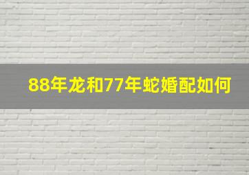 88年龙和77年蛇婚配如何