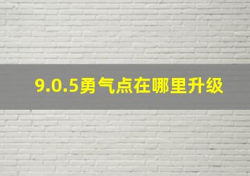 9.0.5勇气点在哪里升级