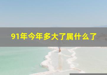 91年今年多大了属什么了