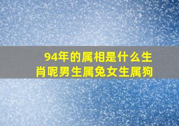 94年的属相是什么生肖呢男生属兔女生属狗