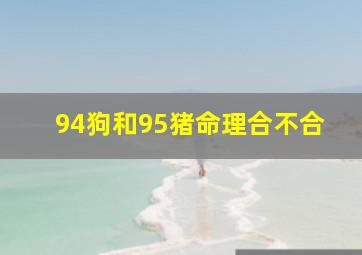 94狗和95猪命理合不合