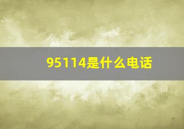 95114是什么电话